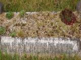 image number PA110046